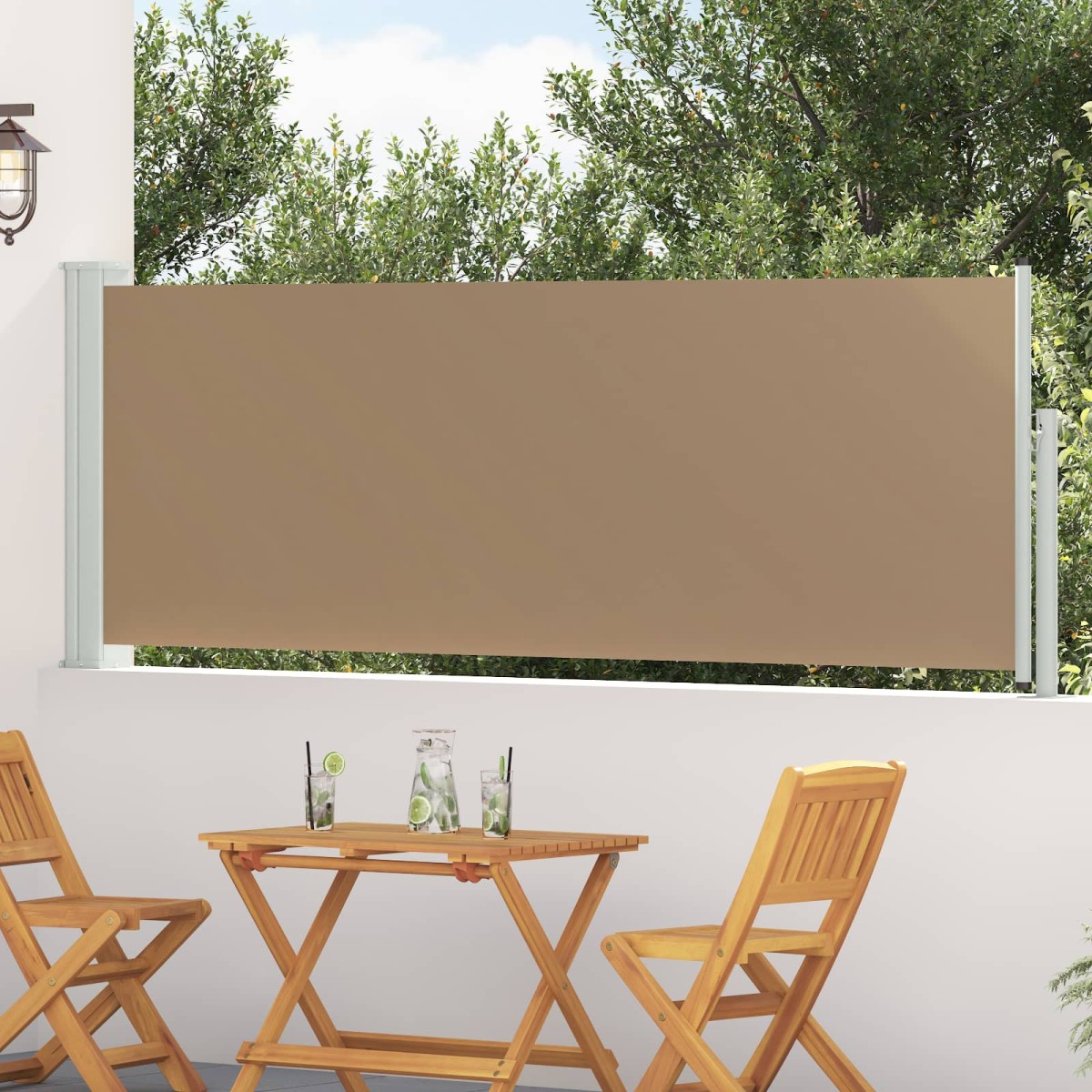 vidaXL Ανακλινόμενος Πλευρικός Απλώστρα 500 x 100 cm Πολυεστέρας