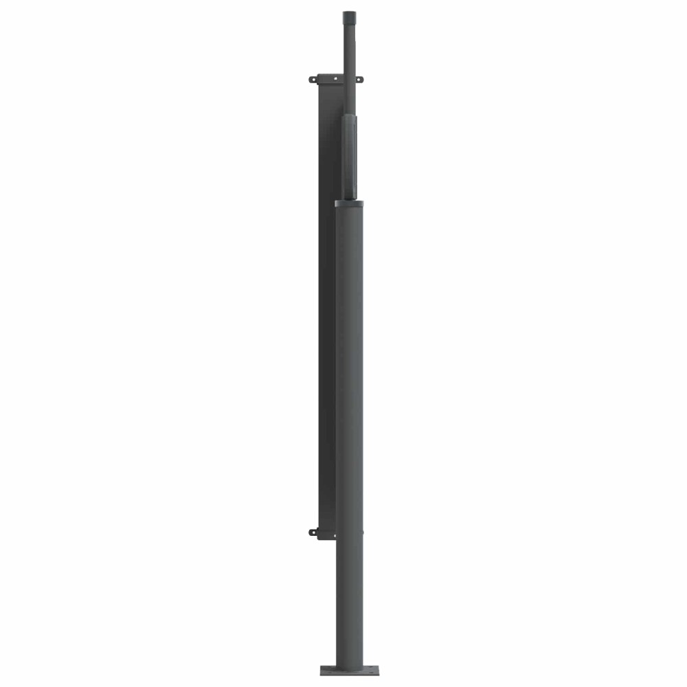 vidaXL Ανακλινόμενος Πλευρικός Απλώστρα 300 x 100 cm Πολυεστέρας