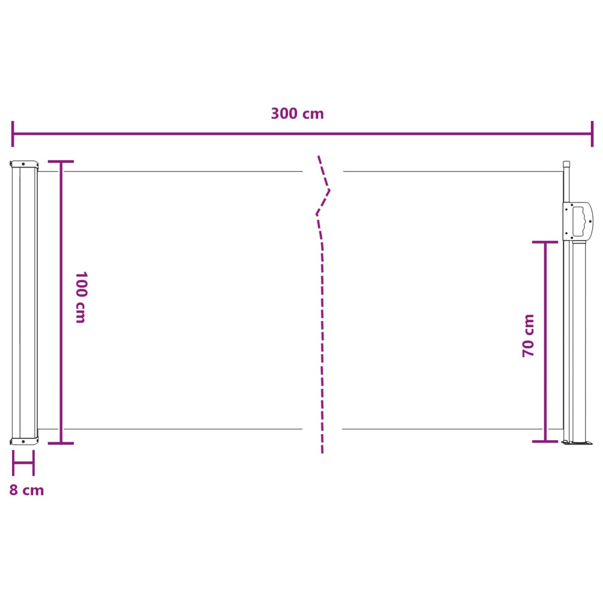 vidaXL Ανακλινόμενος Πλευρικός Απλώστρα 300 x 100 cm Πολυεστέρας