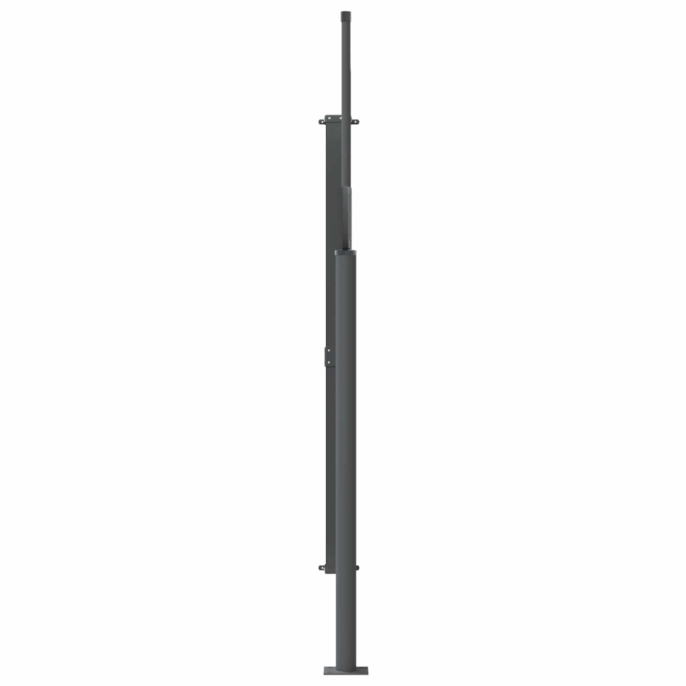 vidaXL Ανακλινόμενος Πλευρικός Απλώστρα 120 x 300 cm