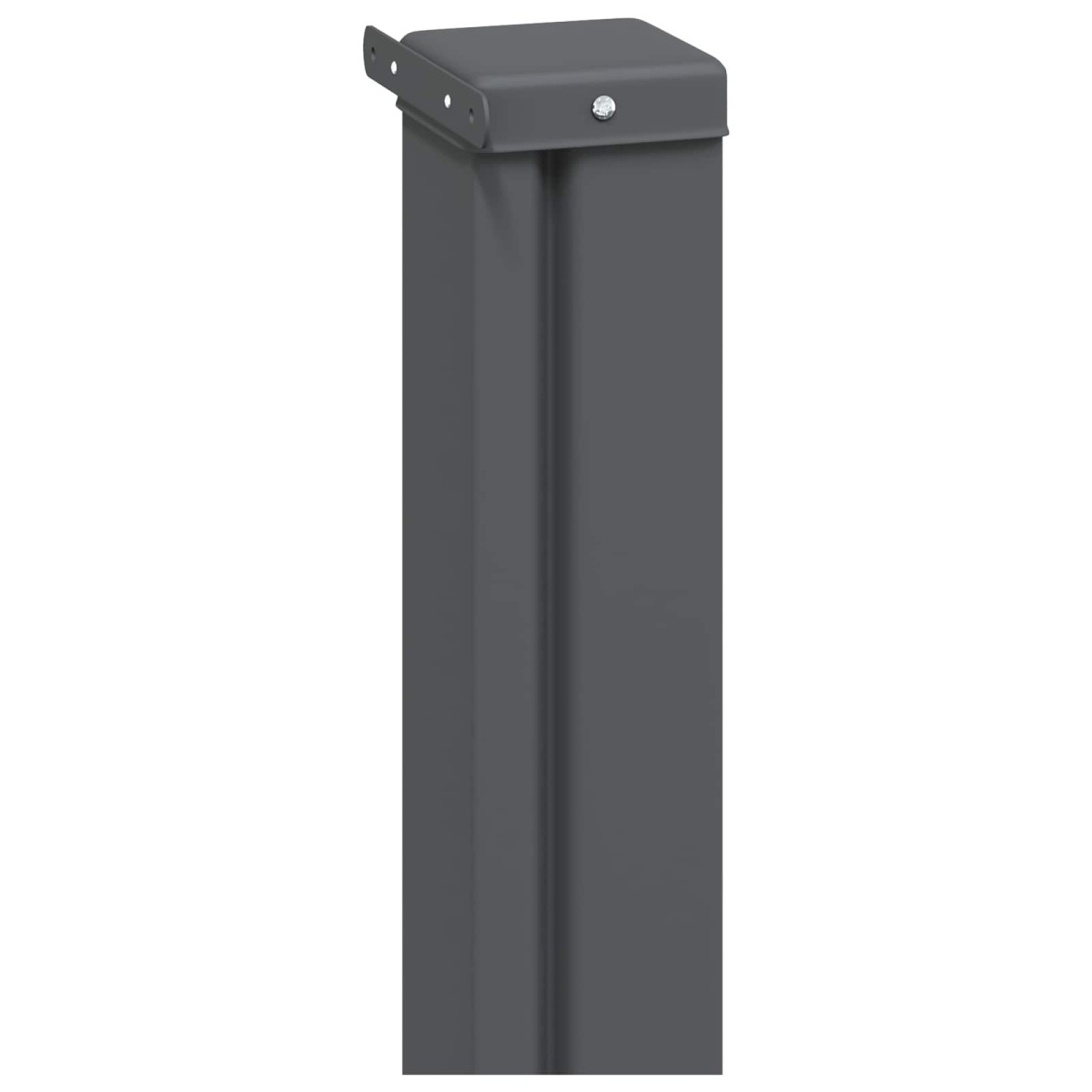 vidaXL Ανακλινόμενος Πλευρικός Απλώστρα 160 x 300 cm