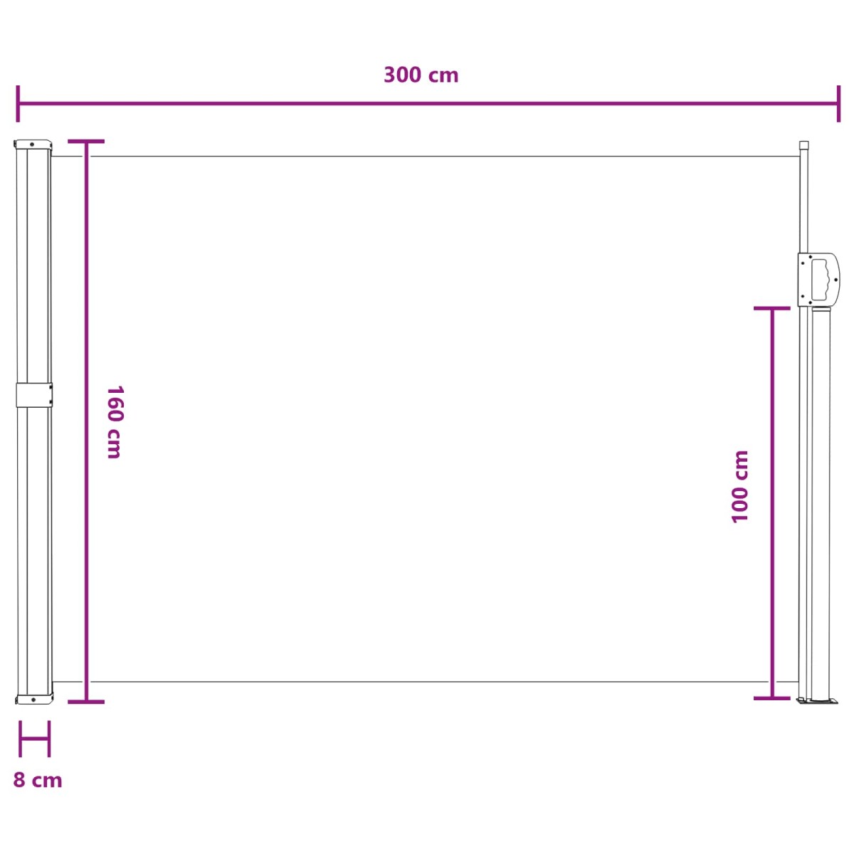 vidaXL Ανακλινόμενος Πλευρικός Απλώστρα 160 x 300 cm