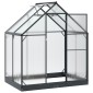 vidaXL Θερμοκήπιο Κήπου με πόρτα Ανθρακί 183,5 x 123 x 207 εκ.