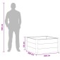 vidaXL Υπερυψωμένη Ζαρντινιέρα Μαύρο 100 x 100 x 54 cm