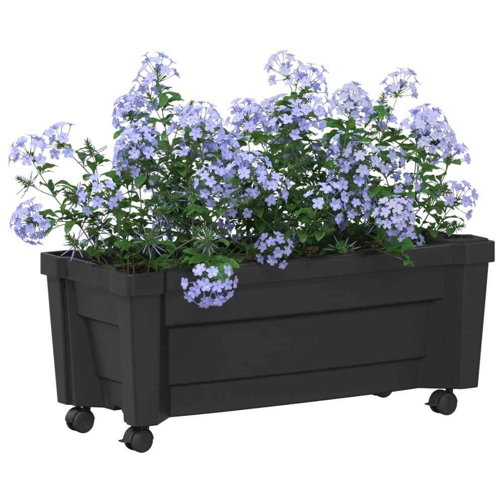 vidaXL Γλάστρα Calypso με Ρόδες Ανθρακί 79 x 35 x 33 εκ PP