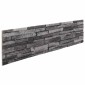 vidaXL Πάνελ τοίχου 10 τμχ. 100 x 25 cm Ανθρακί Αφρός EPS