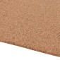 vidaXL Ρολό Φελλού Καφέ 100 x 500 x 0,8 cm Φελλός