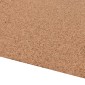 vidaXL Ρολό Φελλού Καφέ 100 x 1000 x 0,2 cm Φελλός