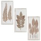 vidaXL Διακόσμηση Τέχνης 3 τμχ. 40 x 40 x 1,5 cm Καφέ και Λευκό