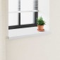 vidaXL Σαβανωτό Παραθύρου Λευκό 80 x 50 x 4,5 εκ PVC