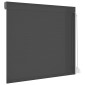 vidaXL Ρολό εισόδου Ανθρακί 160 x 150 cm Αλουμίνιο και Πολυουρεθάνη