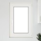 vidaXL Παράθυρο Κάτω Στρώματος RISOR 60 x 100 cm PVC και Γυαλί Λευκό