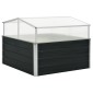 vidaXL Θερμοκήπιο Σπορείο Ανθρακί 100x100x77 εκ. Γαλβανισμένος Χάλυβας