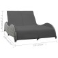 vidaXL Ξαπλώστρα Διπλή Ανθρακί από Συνθετικό Ρατάν με Μαξιλάρι