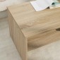 vidaXL Τραπεζάκι σαλονιού Δρύς Sonoma 100 x 50 x 40 cm