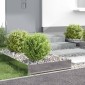 vidaXL Περίγραμμα γκαζόν 4 τμχ. 60 x 60 x 20 εκ Ατσάλι Ασημί