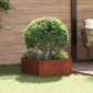 vidaXL Περίγραμμα γκαζόν 60 x 60 x 35 cm Ατσάλι Σκ rusty