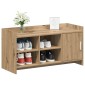 vidaXL Ντουλάπα Παπουτσιών 100 x 39,5 x 51 εκ Επεξεργασμένο Ξύλο