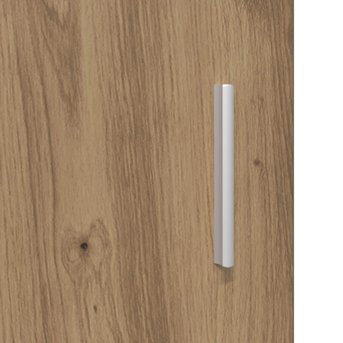 vidaXL Ντουλάπα Παπουτσιών 100 x 39,5 x 51 εκ Επεξεργασμένο Ξύλο