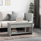 vidaXL Τραπεζάκι Σαλονιού Γκρι Σκυρ. 102x50x52,5 εκ. Επεξεργ. Ξύλο