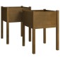 vidaXL Ζαρντινιέρες 2 τεμ. Καφέ Μελί 50x50x70 εκ. Μασίφ Ξύλο Πεύκου