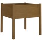 vidaXL Ζαρντινιέρα Καφέ Μελί 70 x 70 x 70 εκ. από Μασίφ Ξύλο Πεύκου