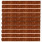 vidaXL Περίγραμμα γκαζόν 10 pcs 10 x 103 cm Ατσάλι Σκληρυθέν στον Αέρα