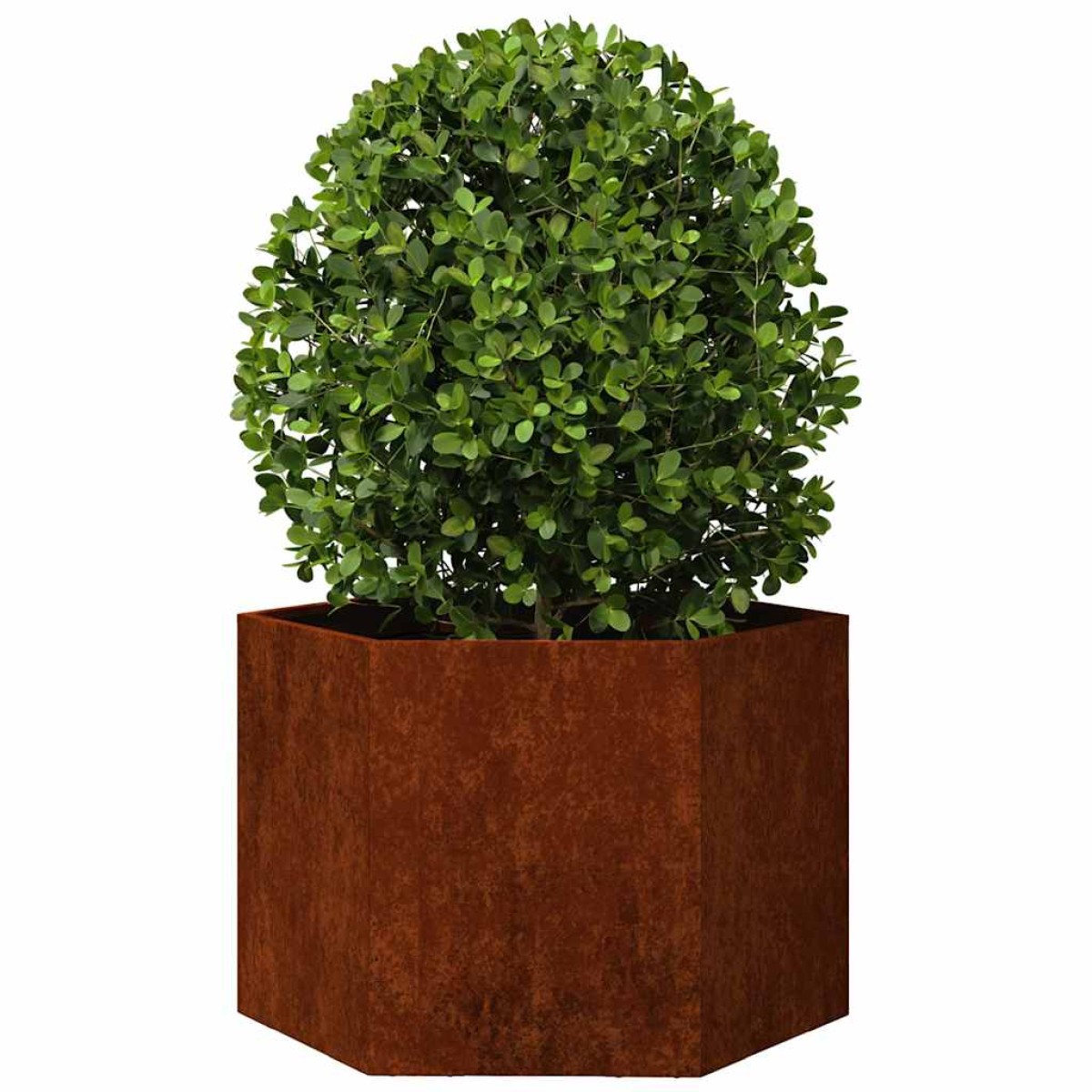 vidaXL Ζαρντινιέρα Σκουρ. 60 x 60 x 45 εκ. Ατσάλι Σκληρυθέν στον Αέρα