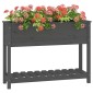 vidaXL Ζαρντινιέρα με Ράφι Γκρι 111,5x34,5x81 εκ. Μασίφ Ξύλο Πεύκου