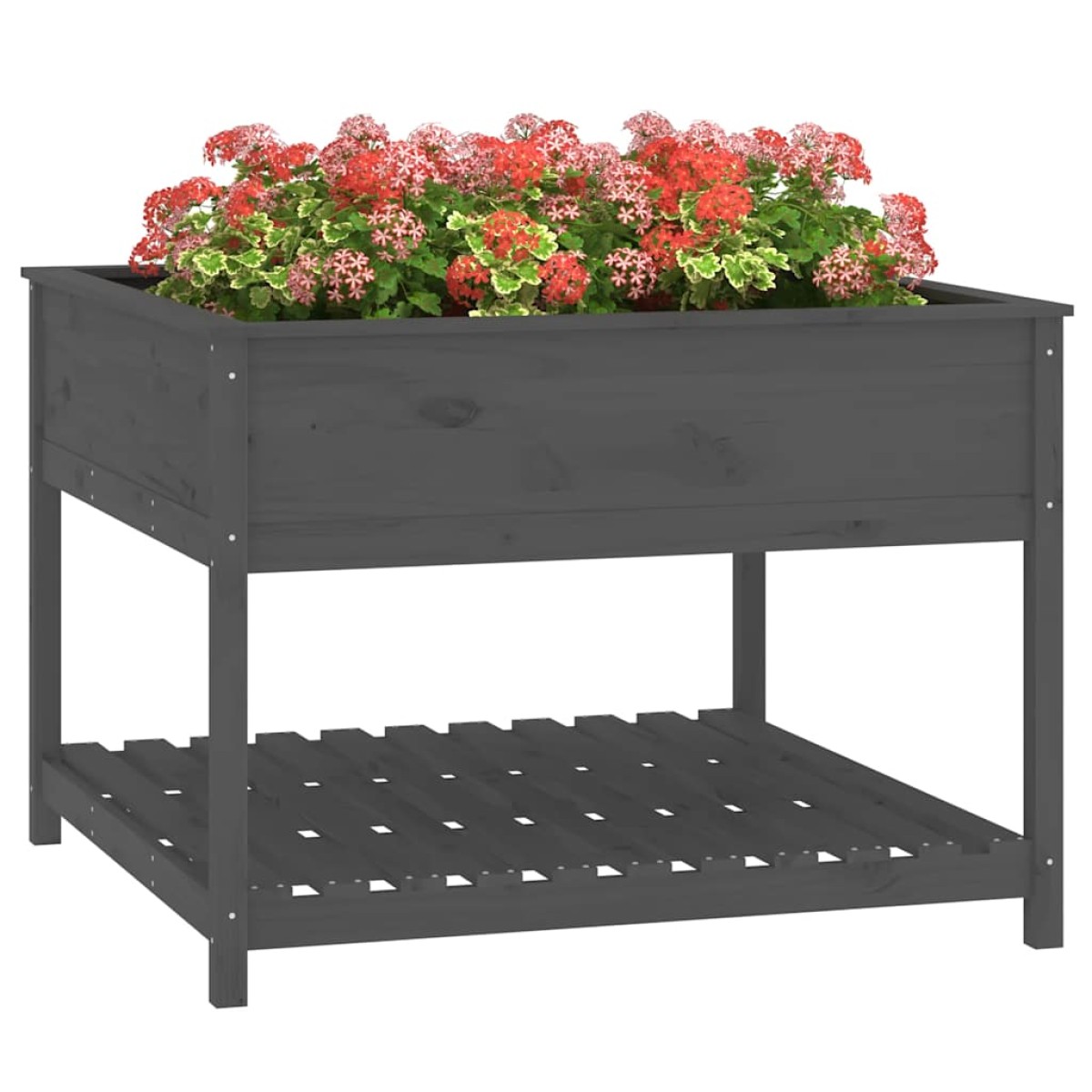 vidaXL Ζαρντινιέρα με Ράφι Γκρι 111,5x111,5x81 εκ. Μασίφ Ξύλο Πεύκου