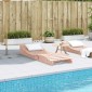 vidaXL Ξαπλώστρα 205x60x31,5 εκ. από Μασίφ Ξύλο Ψευδοτσούγκας