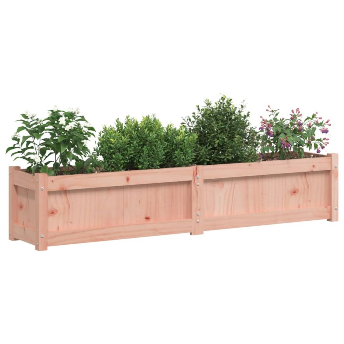 vidaXL Ζαρντινιέρα 150 x 31 x 31 εκ. από Μασίφ Ξύλο Ψευδοτσούγκας