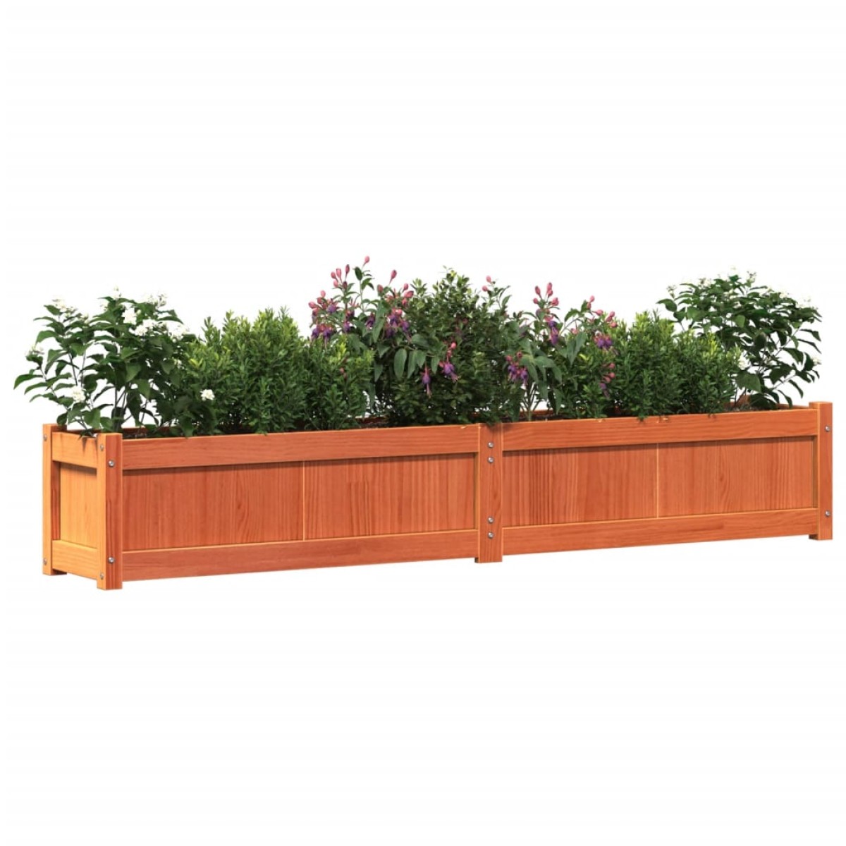 vidaXL Ζαρντινιέρα Καφέ Κεριού 180 x 31 x 31 εκ. από Μασίφ Ξύλο Πεύκου