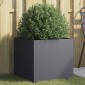 vidaXL Ζαρντινιέρα Ανθρακί 49x47x46 εκ. από Χάλυβα Ψυχρής Έλασης