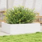 vidaXL Ζαρντινιέρα Λευκή 90x60x23 εκ. από Μασίφ Ξύλο Πεύκου
