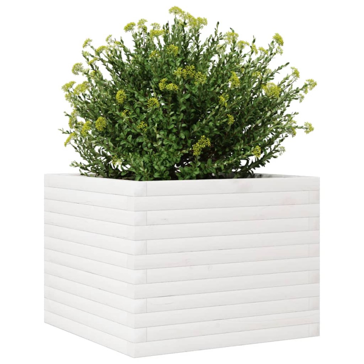 vidaXL Ζαρντινιέρα Κήπου Λευκή 60x60x45,5 εκ. από Μασίφ Ξύλο Πεύκου