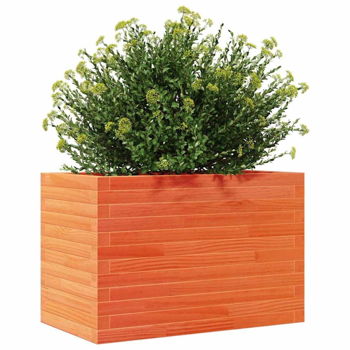 vidaXL Ζαρντινιέρα Καφέ Κεριού 70x40x45,5 εκ. από Μασίφ Ξύλο Πεύκου