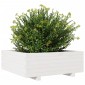 vidaXL Ζαρντινιέρα Κήπου Λευκή 70x70x26,5 εκ. από Μασίφ Ξύλο Πεύκου