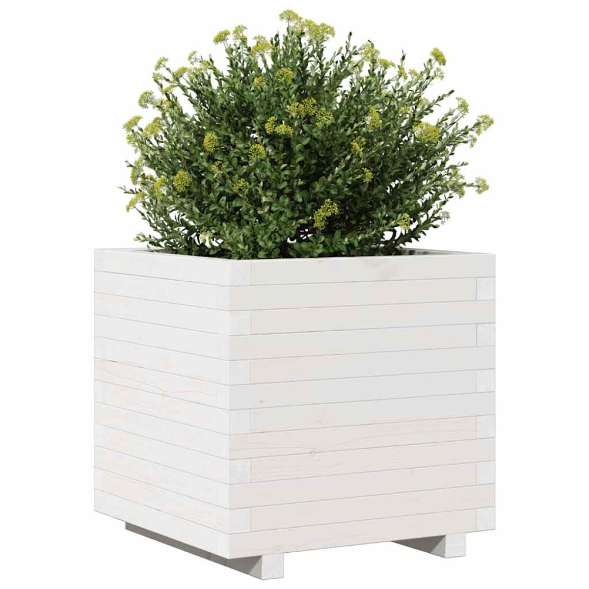 vidaXL Ζαρντινιέρα Λευκή. 50x50x49,5 εκ από Μασίφ Ξύλο Πεύκου