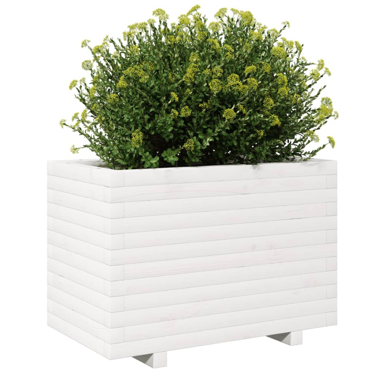 vidaXL Ζαρντινιέρα Κήπου Λευκή 70x40x49,5 εκ. από Μασίφ Ξύλο Πεύκου
