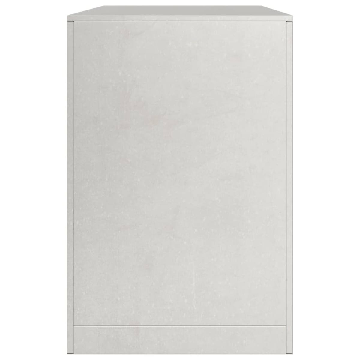 vidaXL Ραφιέρα Καυσόξυλων 100x40x60 εκ. από Ανοξείδωτο ατσάλι