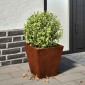 vidaXL Ζαρντινιέρα Κήπου 30x30x30 cm Ατσάλι σκληρυθέν στον αέρα