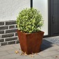 vidaXL Ζαρντινιέρες Κήπου 2 τεμ. 30x30x30cm Ατσάλι σκληρυθέν στον αέρα