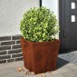 vidaXL Ζαρντινιέρα Κήπου 40x40x40 cm Ατσάλι σκληρυθέν στον αέρα