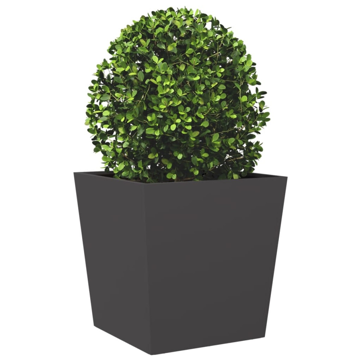 vidaXL Ζαρντινιέρα Κήπου Μαύρο 50 x 50 x 50 εκ από Ατσάλι