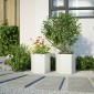 vidaXL Ζαρντινιέρες Κήπου 2τεμ. Εξάγωνη Λευκή 46x40x45 εκ. Ατσάλι