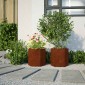 vidaXL Ζαρντινιέρες Κήπου 2τεμ. Εξάγωνη 46x40x45εκ Χάλυβας καιρού