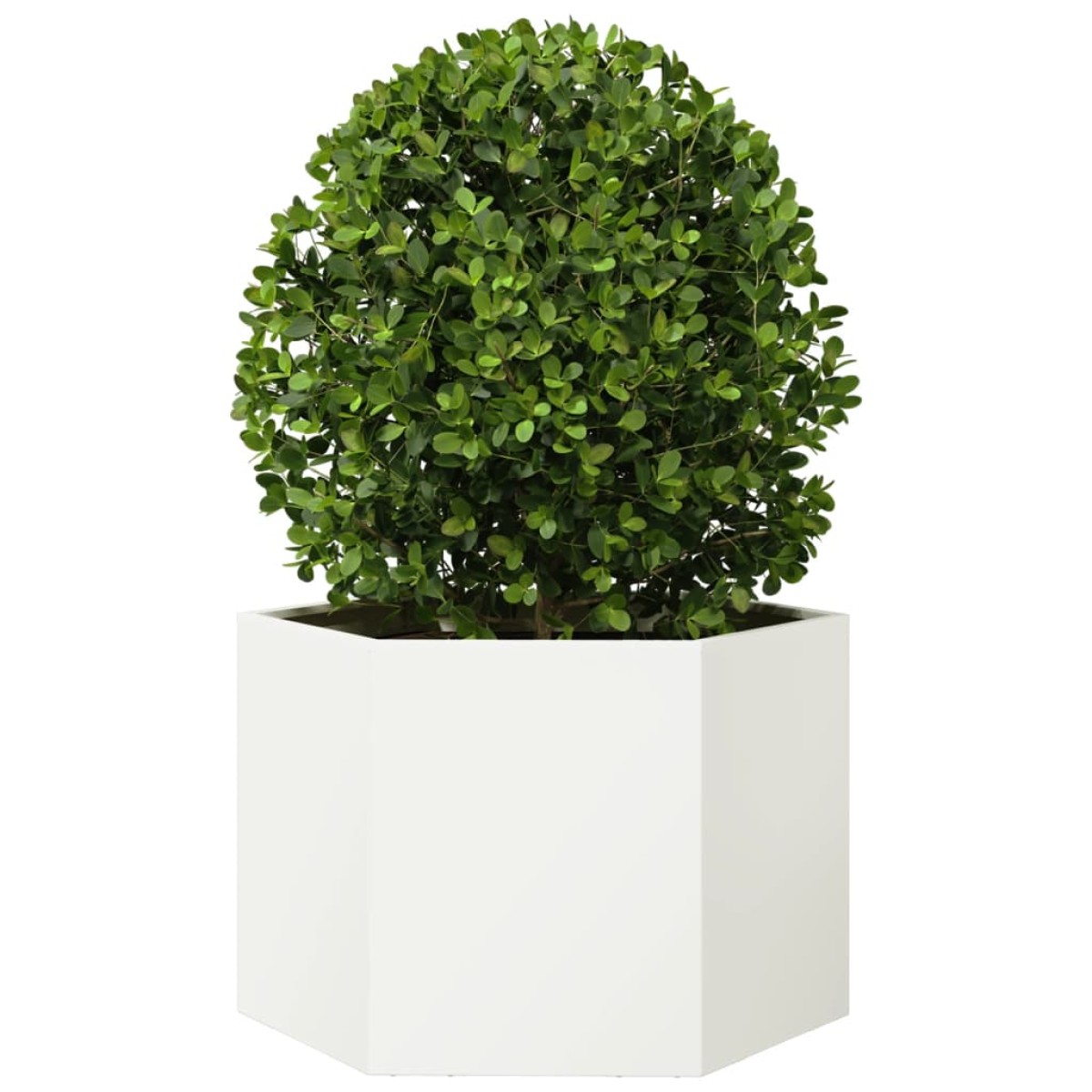 vidaXL Ζαρντινιέρα Κήπου Εξάγωνη Λευκή 69x60x45 εκ. Ατσάλι