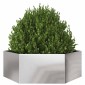 vidaXL Ζαρντινιέρα Κήπου Εξάγωνη 138x120x45 εκ. Ανοξείδωτο Ατσάλι