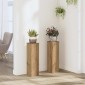 vidaXL Βάσεις Φυτών 2 τεμ. Αρτισιανή Δρυς 17x17x60 εκ. Επεξ. Ξύλο